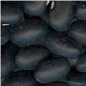 black beans