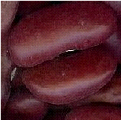 dark red kidney beans