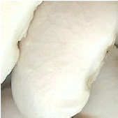 large white kidney beans