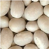 peabeans