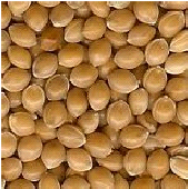 yellow broomcorn millet