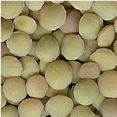chinese lentils
