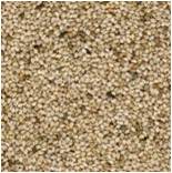 sesame seeds